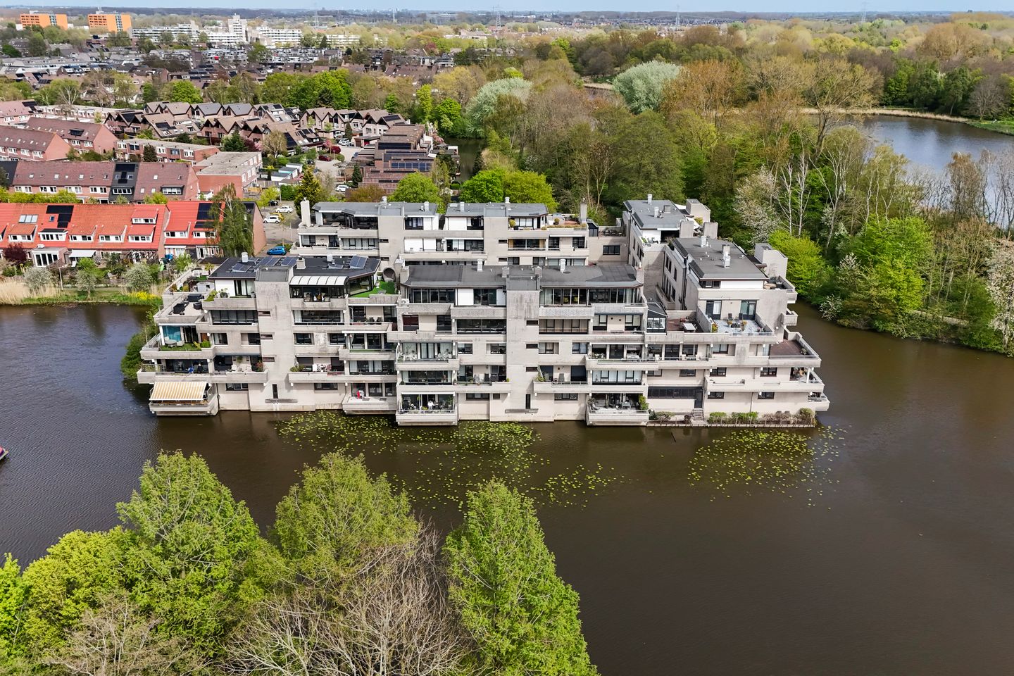 Foto 55 van Sterrekinderen erf 12