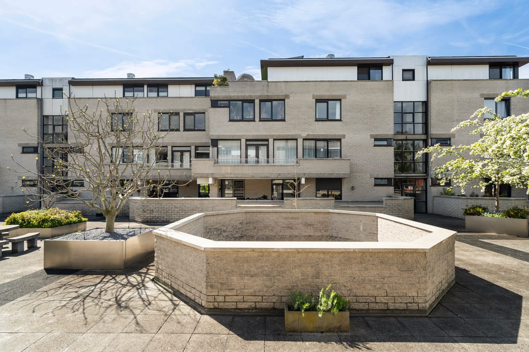 Foto 53 van Sterrekinderen erf 12