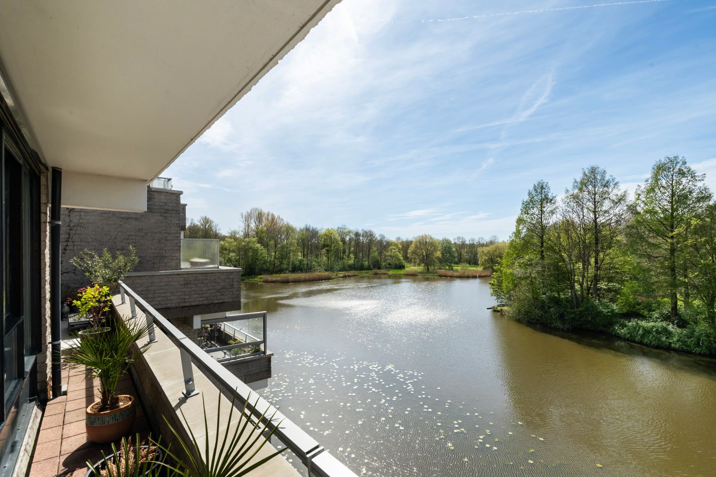 Foto 4 van Sterrekinderen erf 12