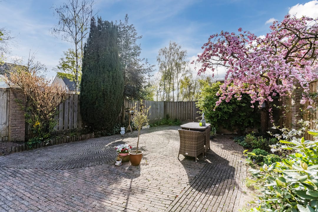 Photo 43 of Overijsselplantsoen 37
