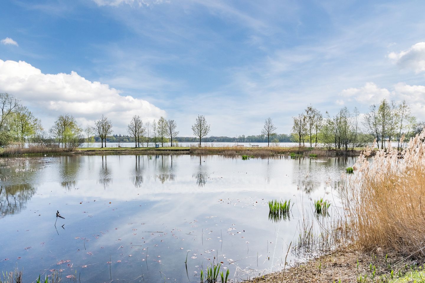Photo 55 of Overijsselplantsoen 37