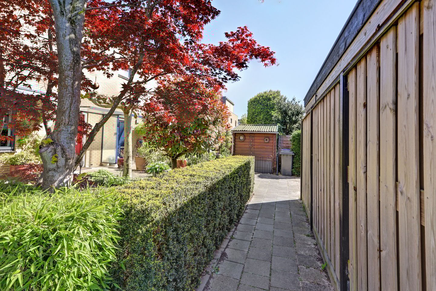 Photo 44 of Aart van der Leeuwhove 5