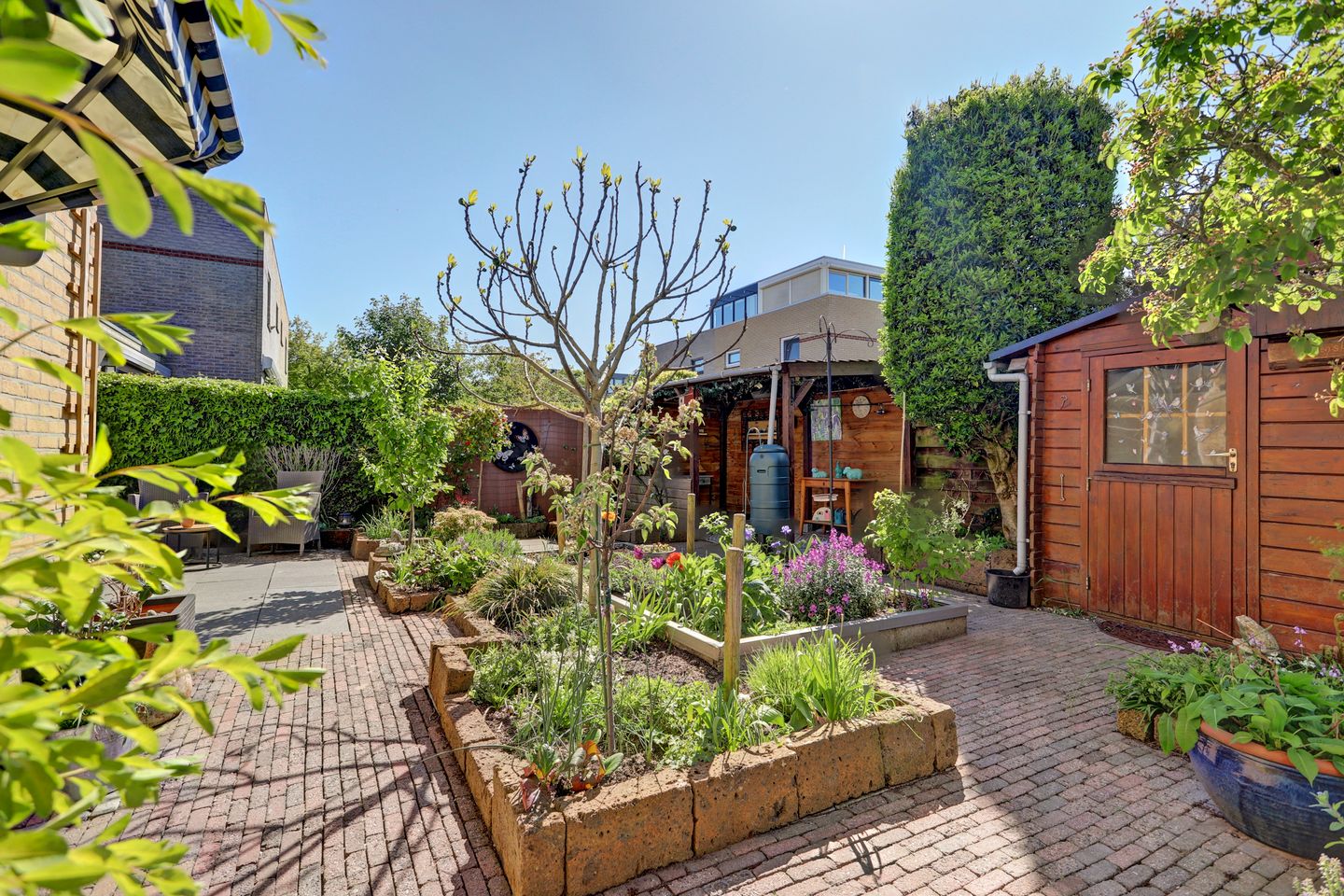 Photo 14 of Aart van der Leeuwhove 5