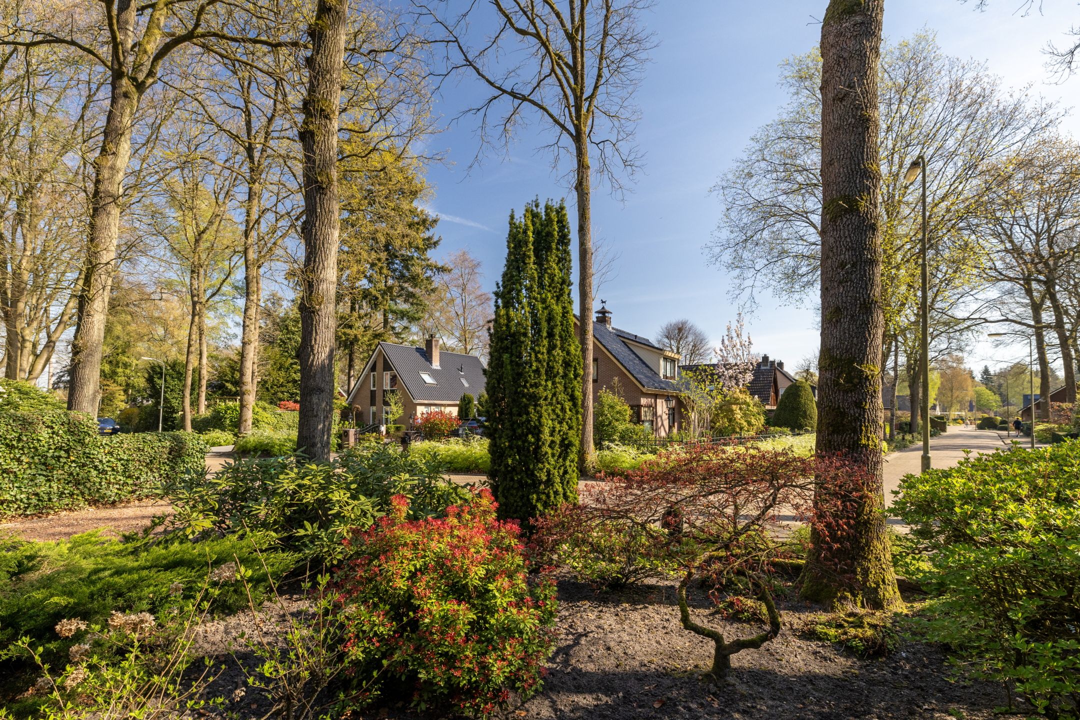 Photo 6 of Berkenlaantje 4