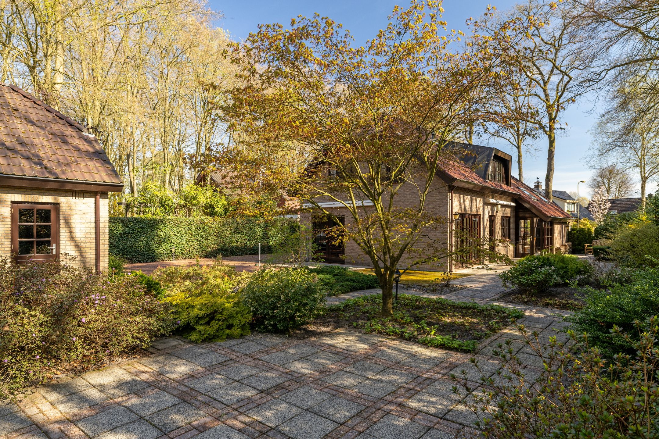 Photo 42 of Berkenlaantje 4