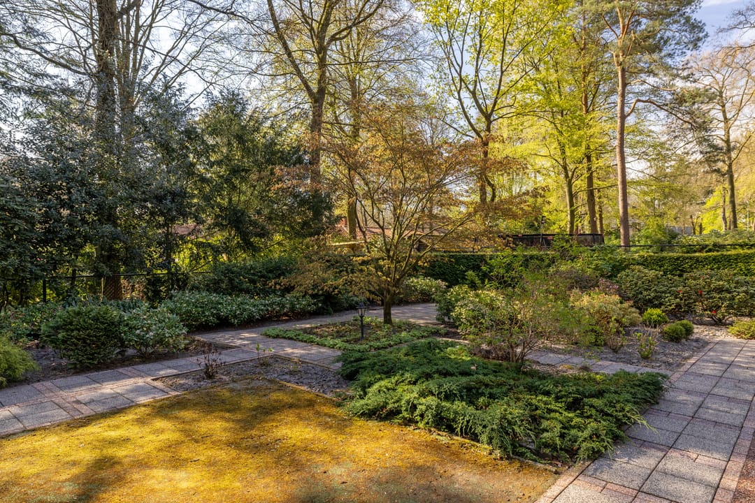 Photo 43 of Berkenlaantje 4