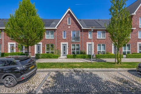 Burgemeester van Dijkesingel thumbnail