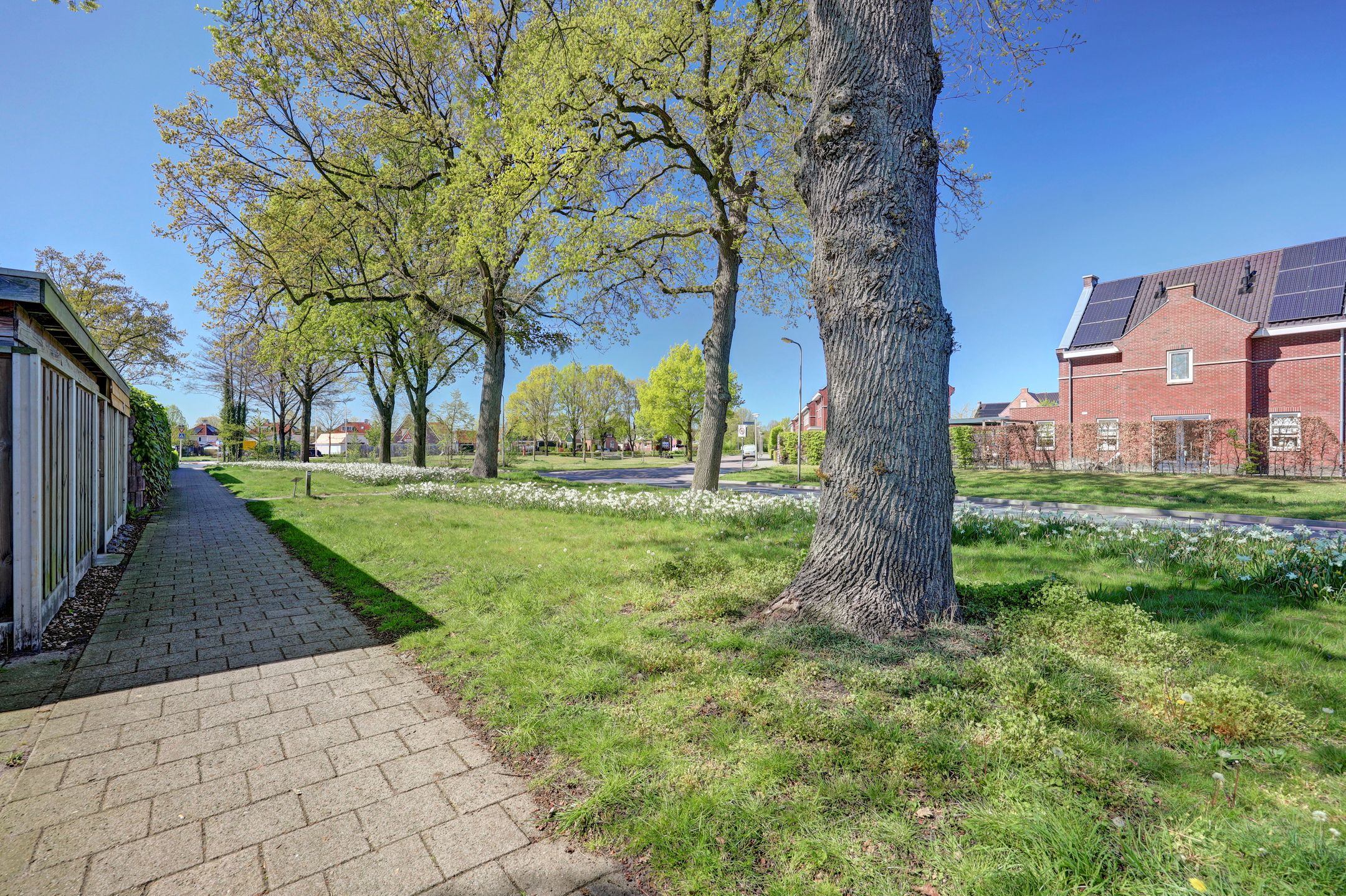 Foto 36 van Pijperstraat 12