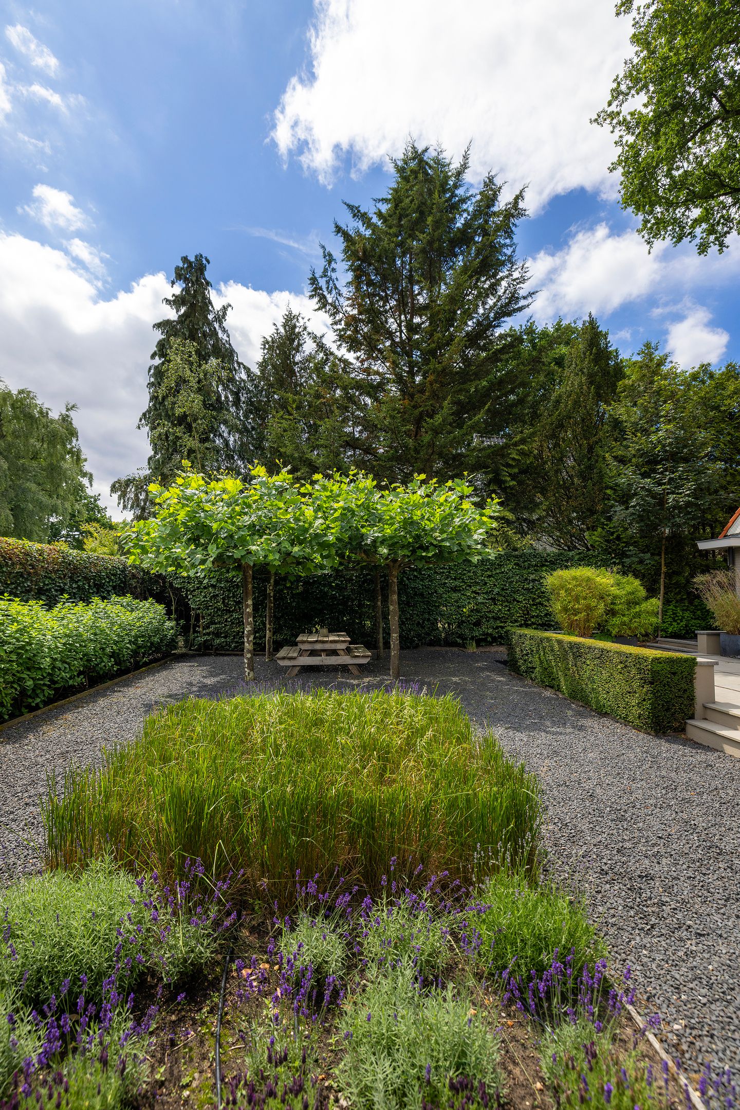 Foto 40 van Onder den Dael 19