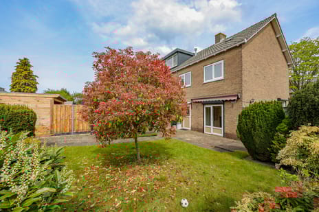 Witte de Withstraat 11 tertiary image