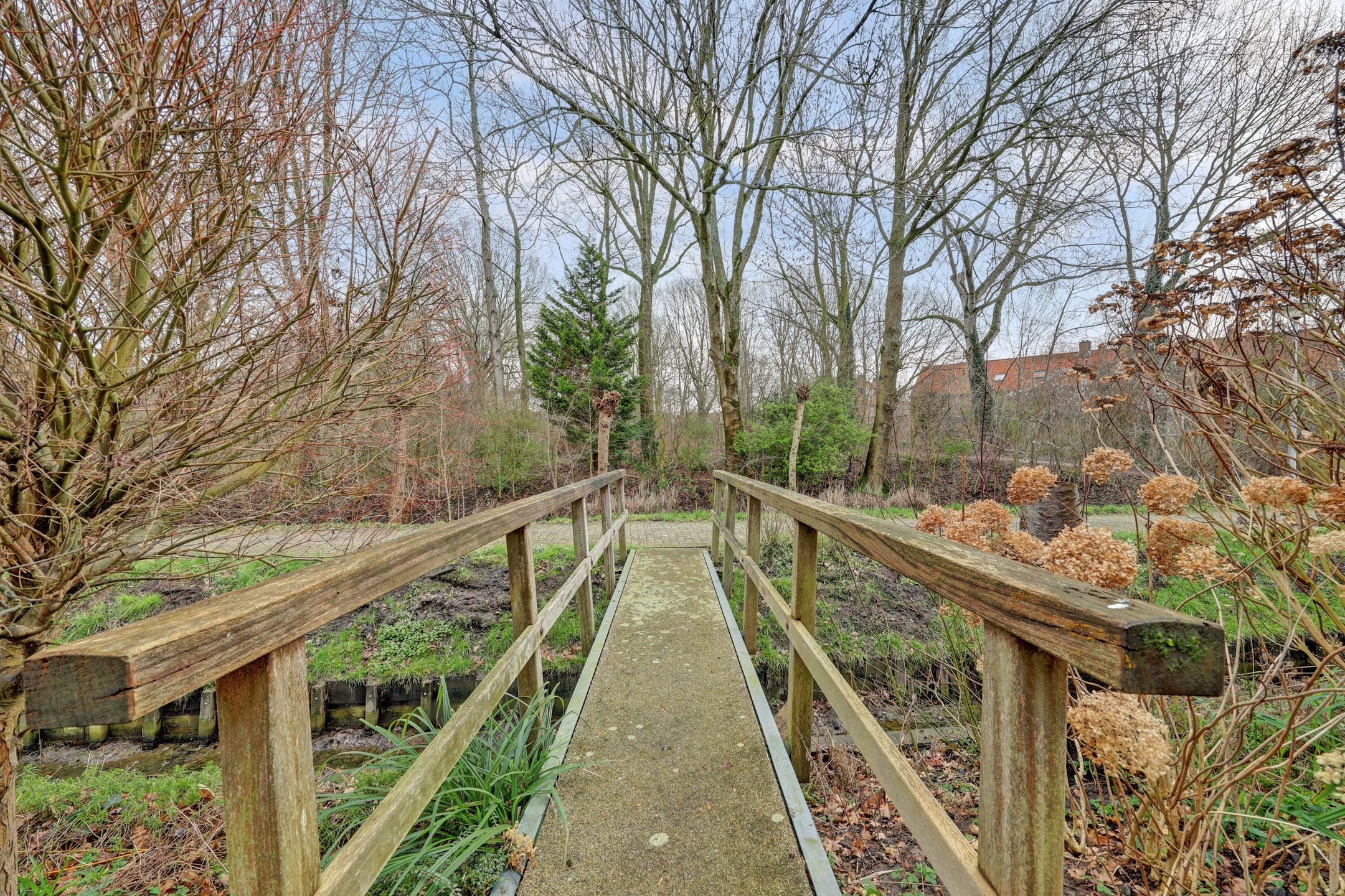Photo 48 of Kikkerveen 349