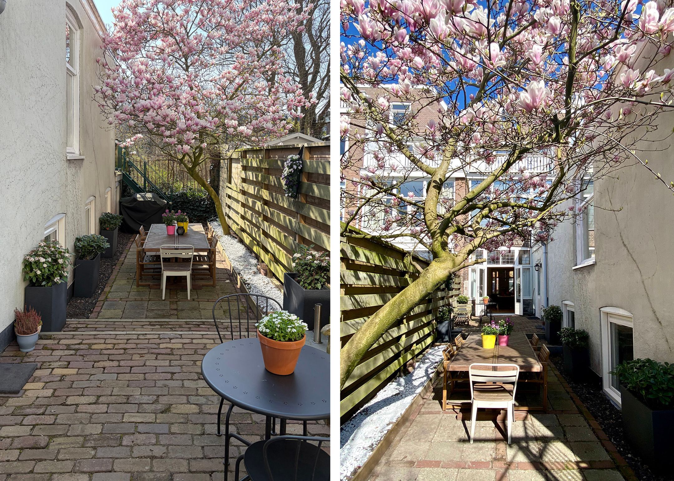Photo 3 of Obrechtstraat 248