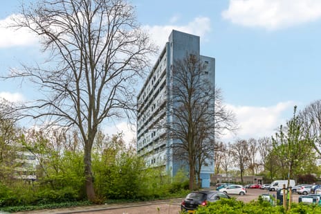 Jacoba van Beierenlaan thumbnail