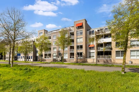 Montaubanstraat thumbnail