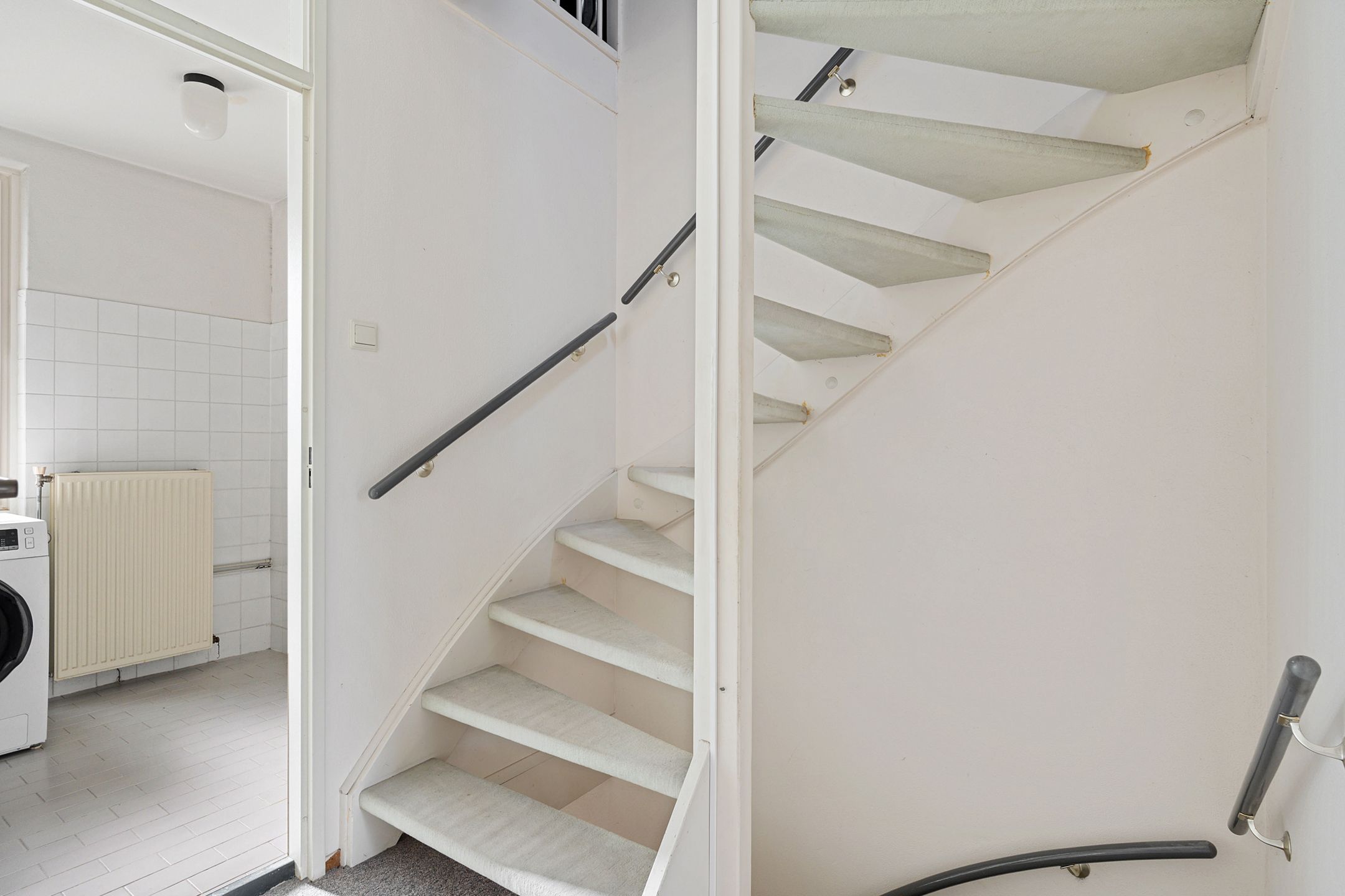 Foto 15 van Populier 31