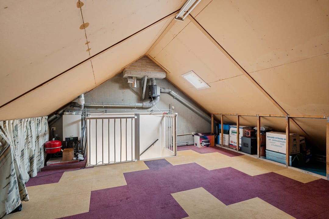 Foto 26 van Populier 31