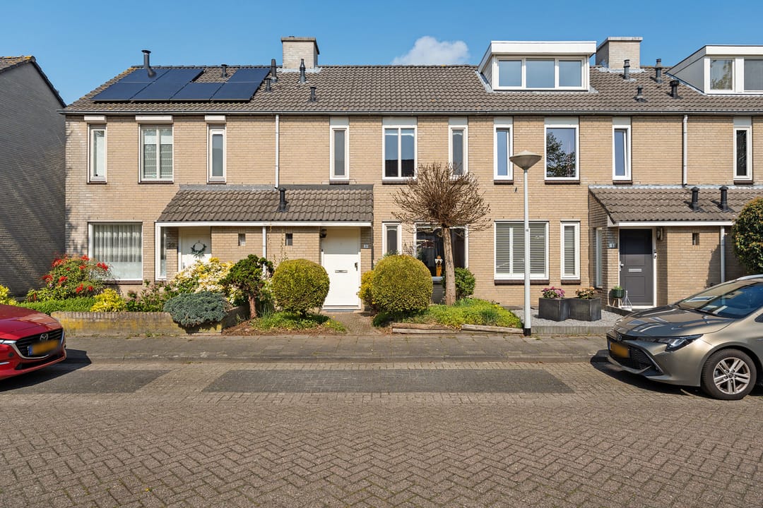 Foto 1 van Populier 31