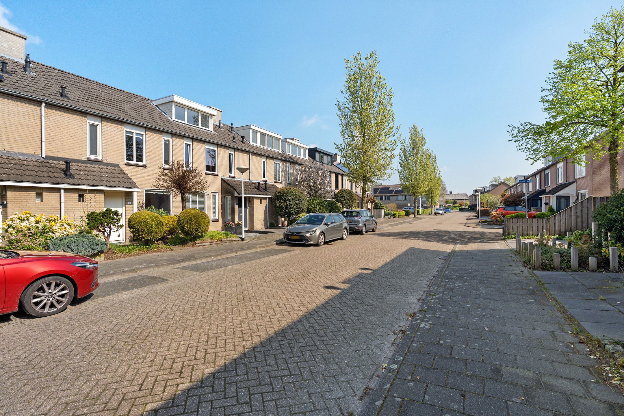 Foto 3 van Populier 31