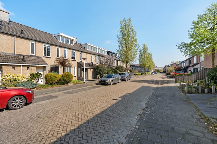 Foto 3 van Populier 31