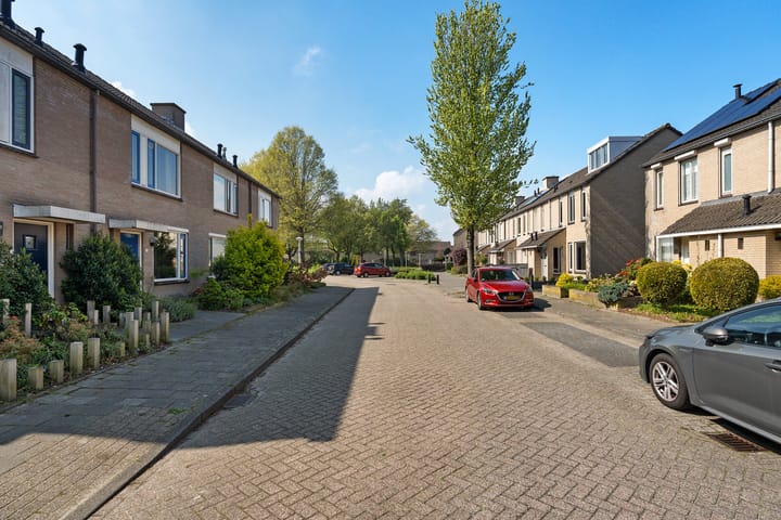 Foto 4 van Populier 31