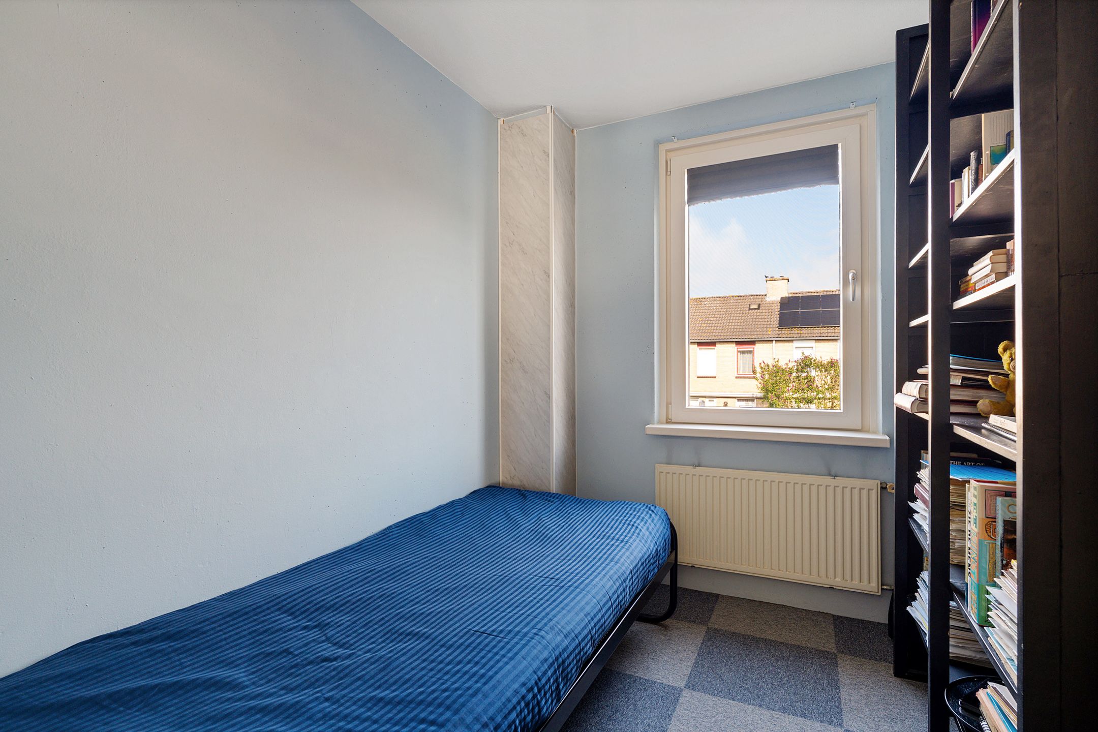 Foto 21 van Populier 31