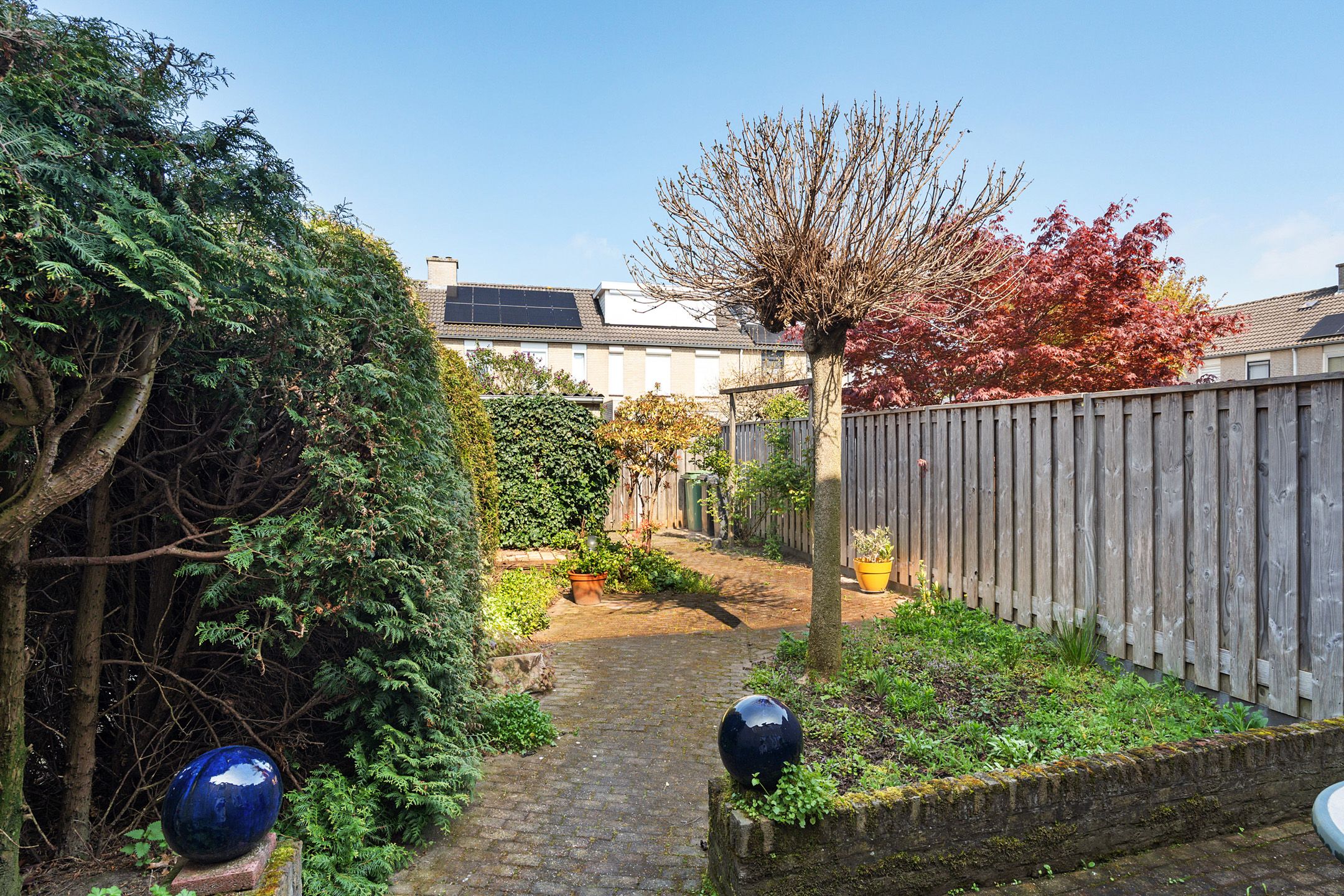 Foto 27 van Populier 31