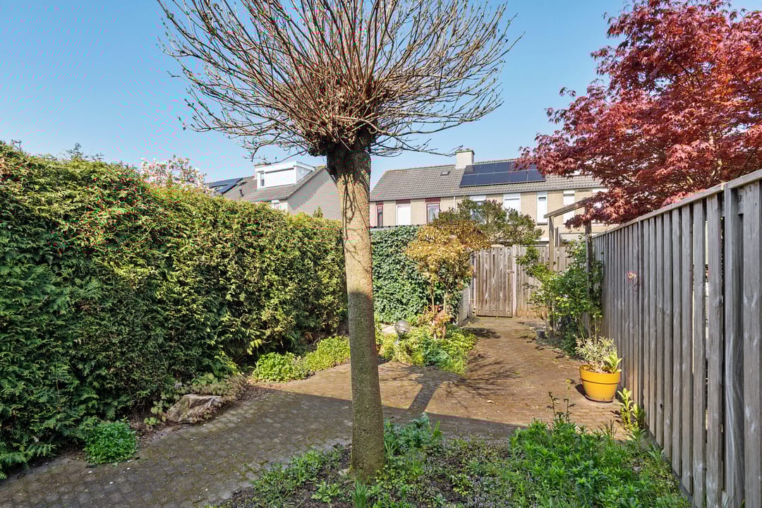 Foto 28 van Populier 31