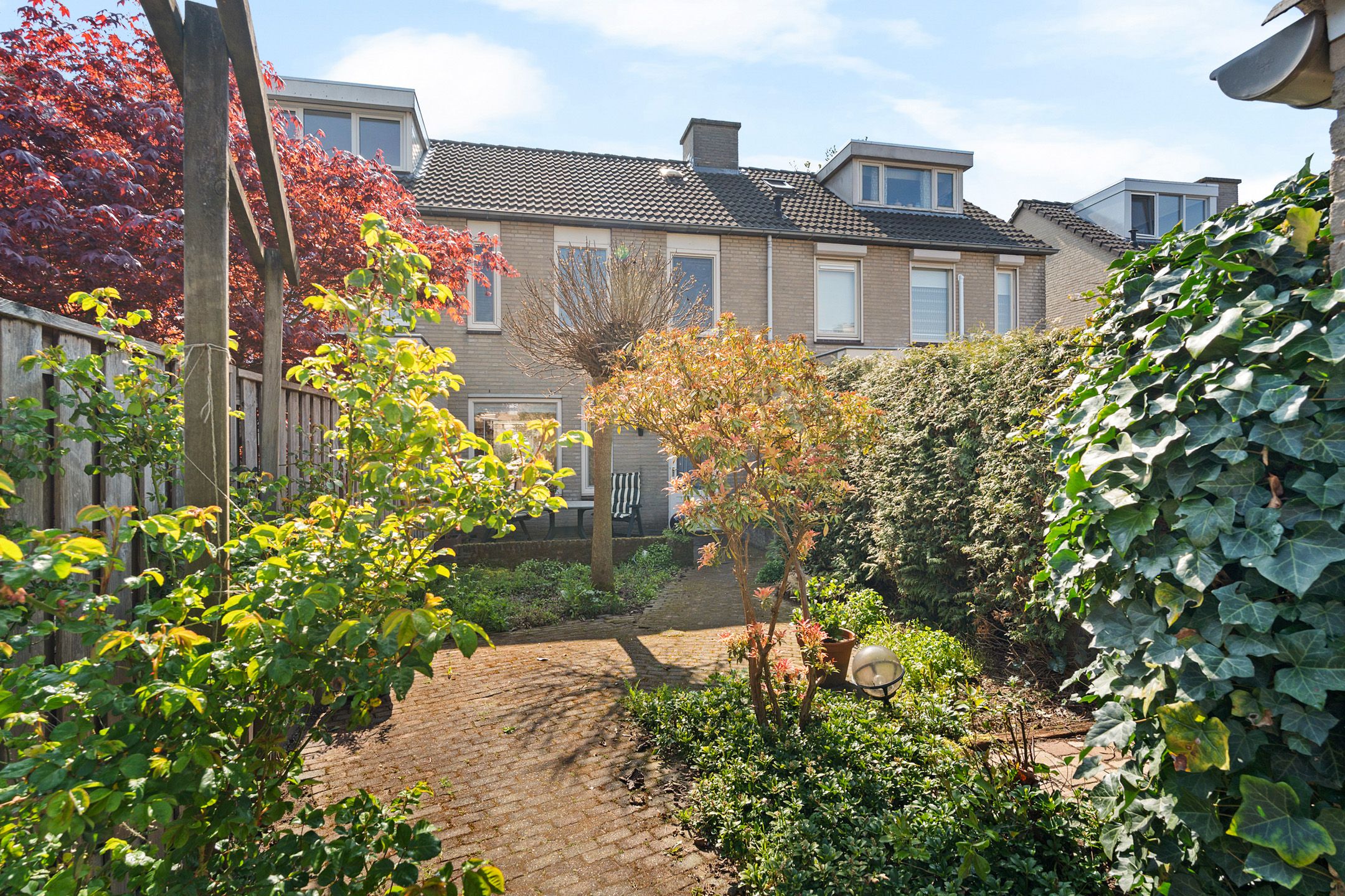 Foto 30 van Populier 31