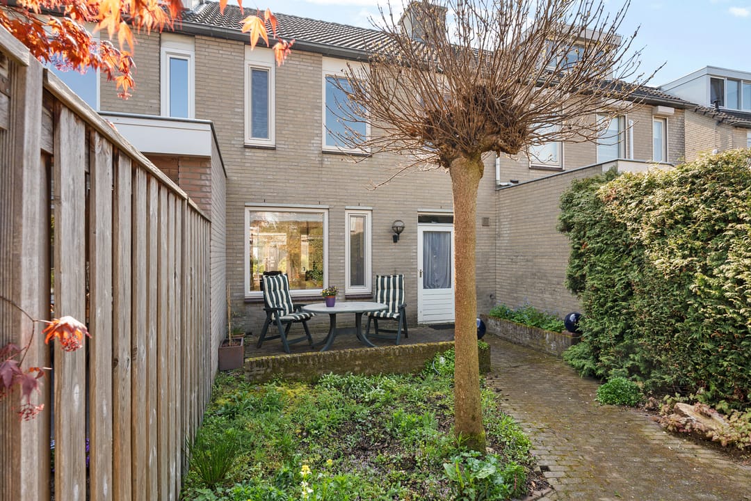 Foto 31 van Populier 31