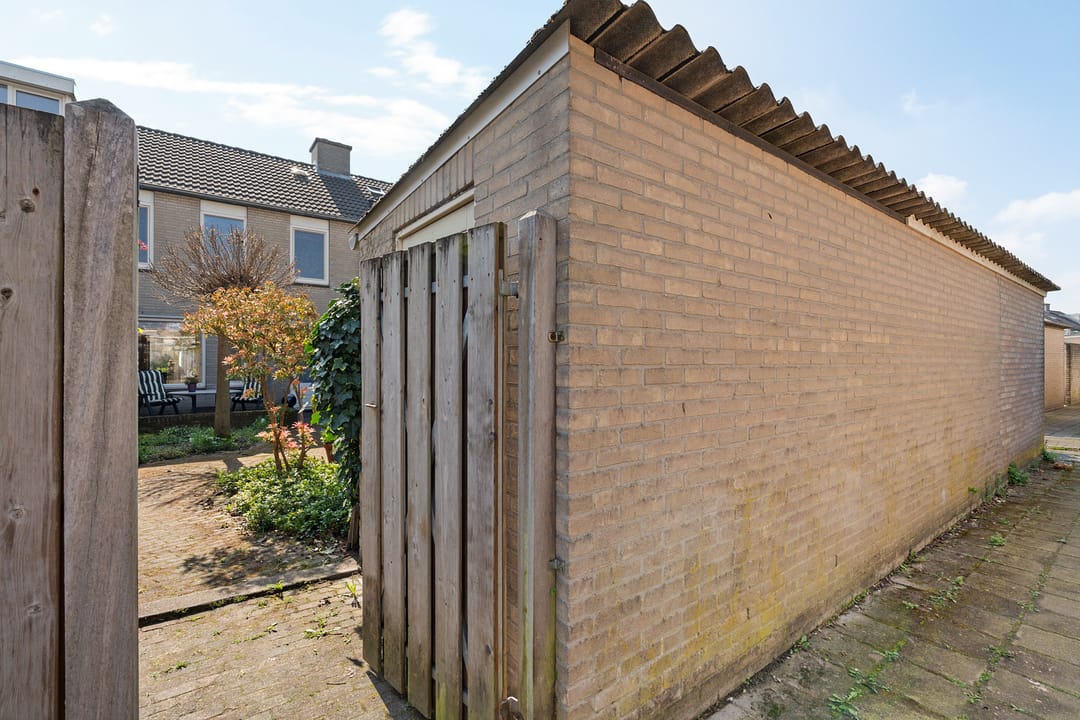 Foto 32 van Populier 31