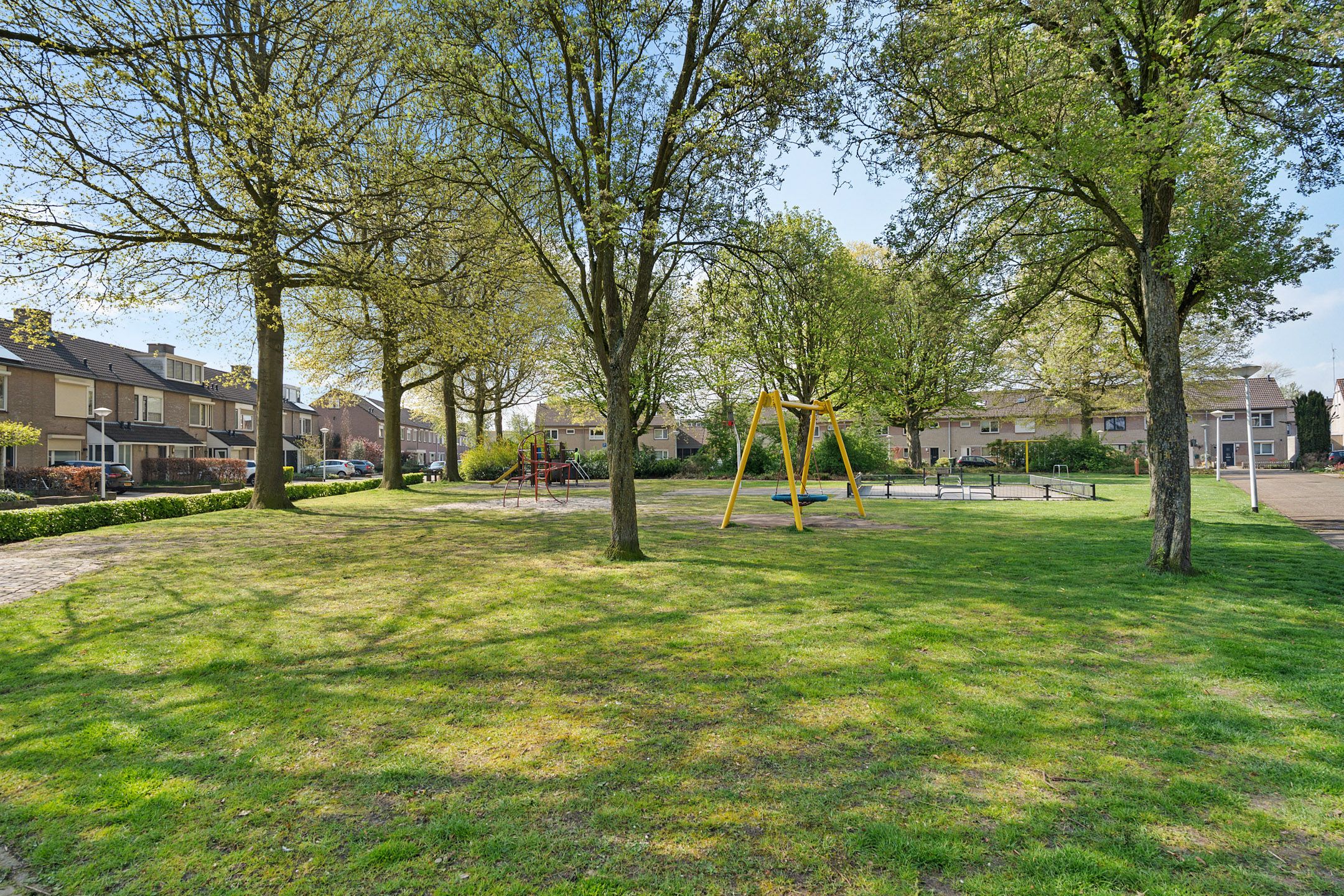 Foto 33 van Populier 31