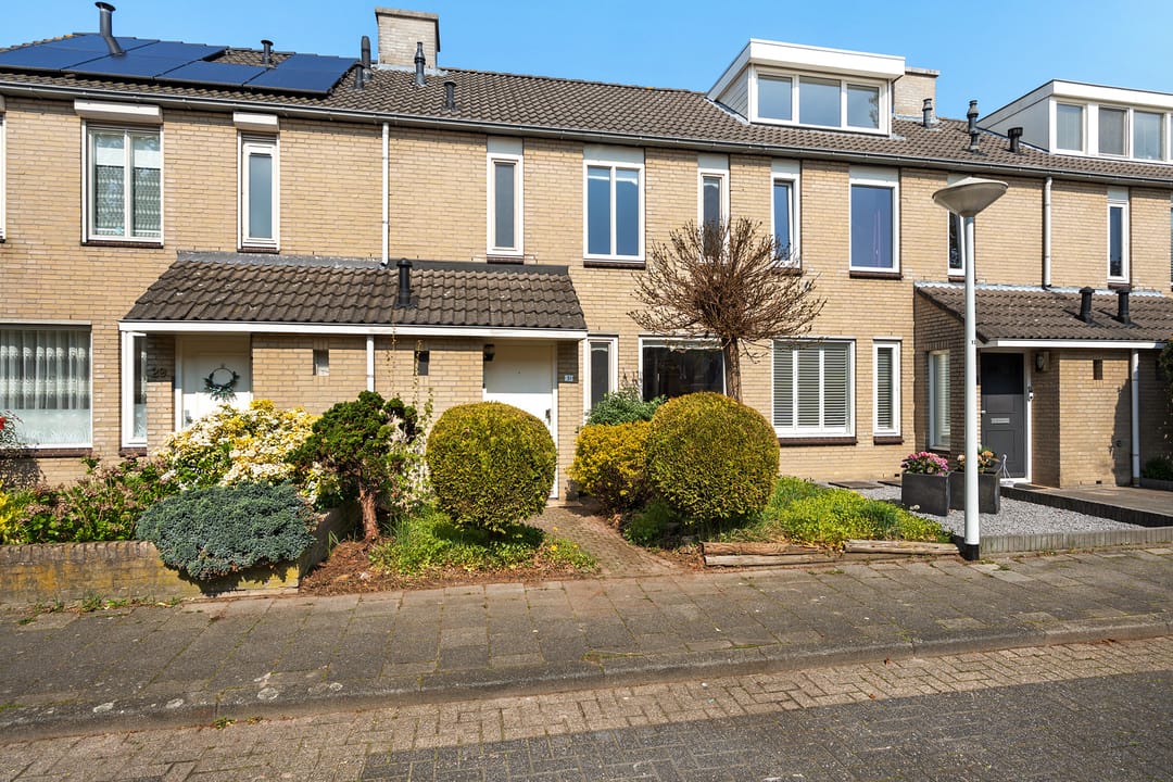 Foto 2 van Populier 31