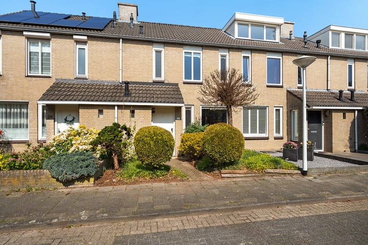 Foto 2 van Populier 31