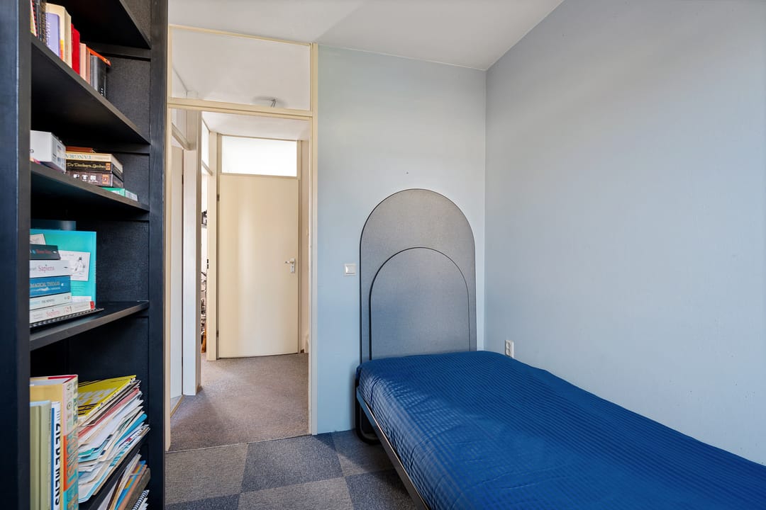 Foto 22 van Populier 31