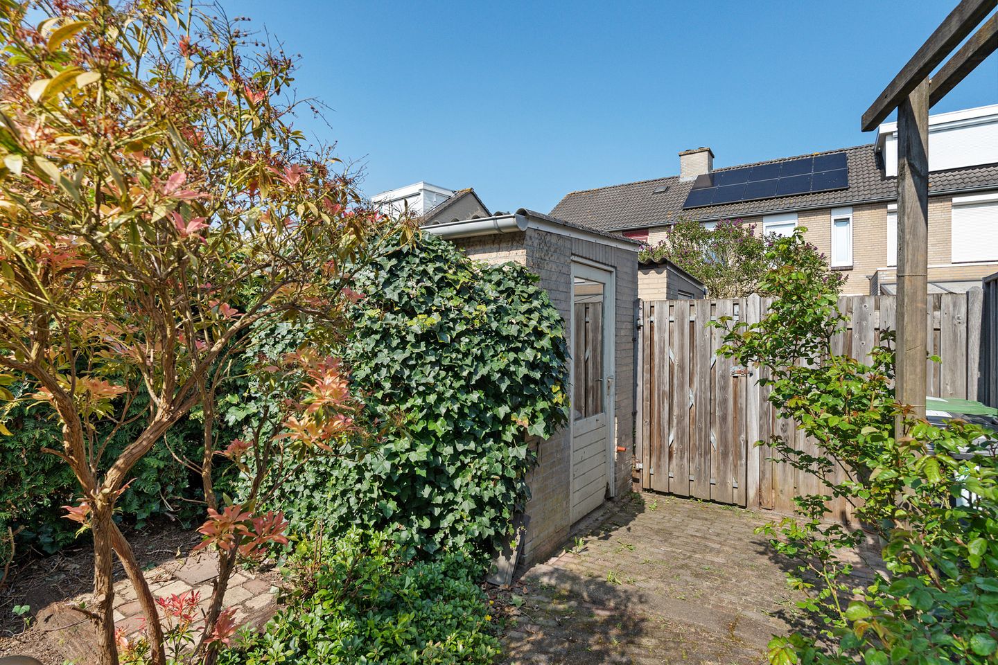 Foto 29 van Populier 31