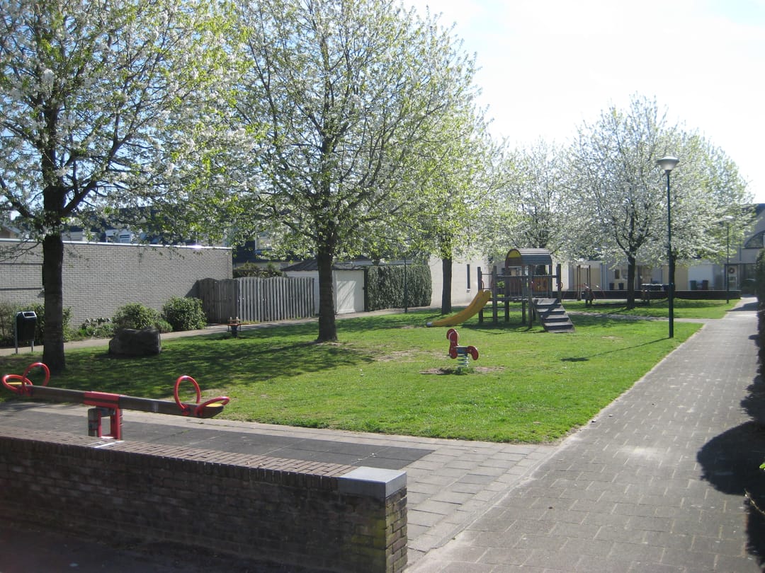 Foto 2 van Klaproos 2