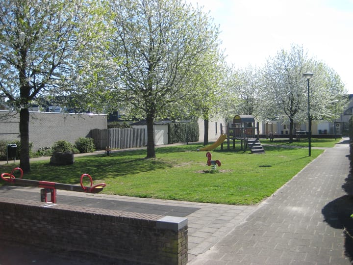 Foto 2 van Klaproos 2