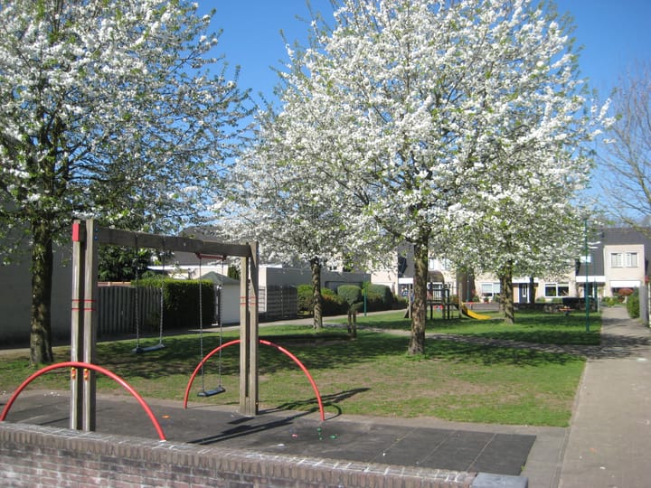 Foto 5 van Klaproos 2
