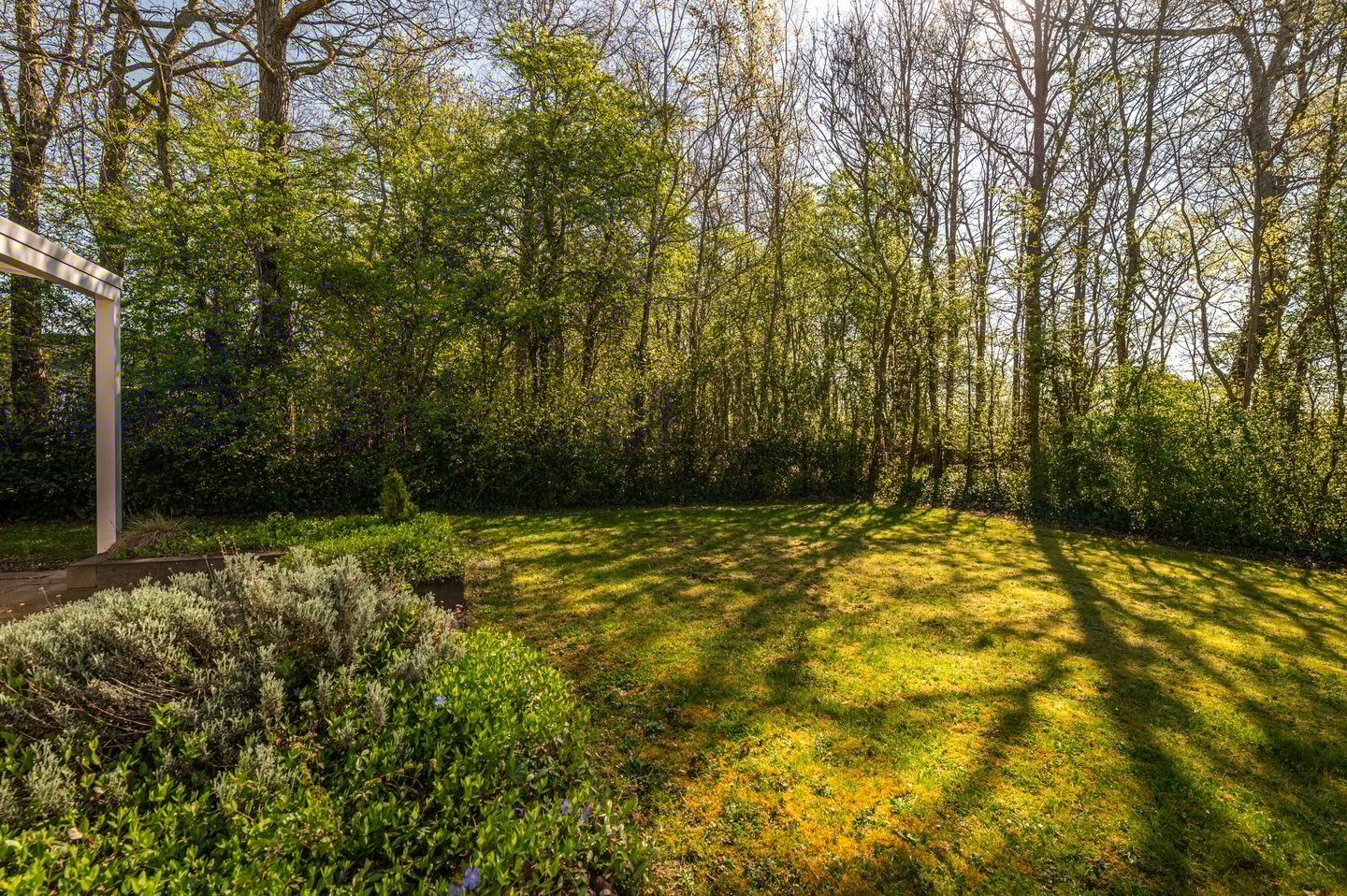 Foto 34 van Oranjeplaat 45