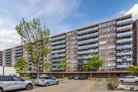 Nederlandplein thumbnail