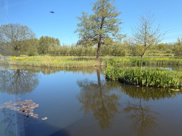 Photo 30 of Lahndal 17