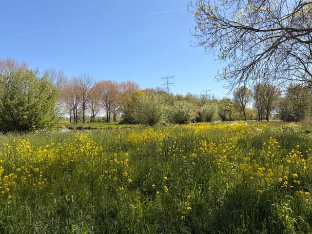 Photo 29 of Lahndal 17