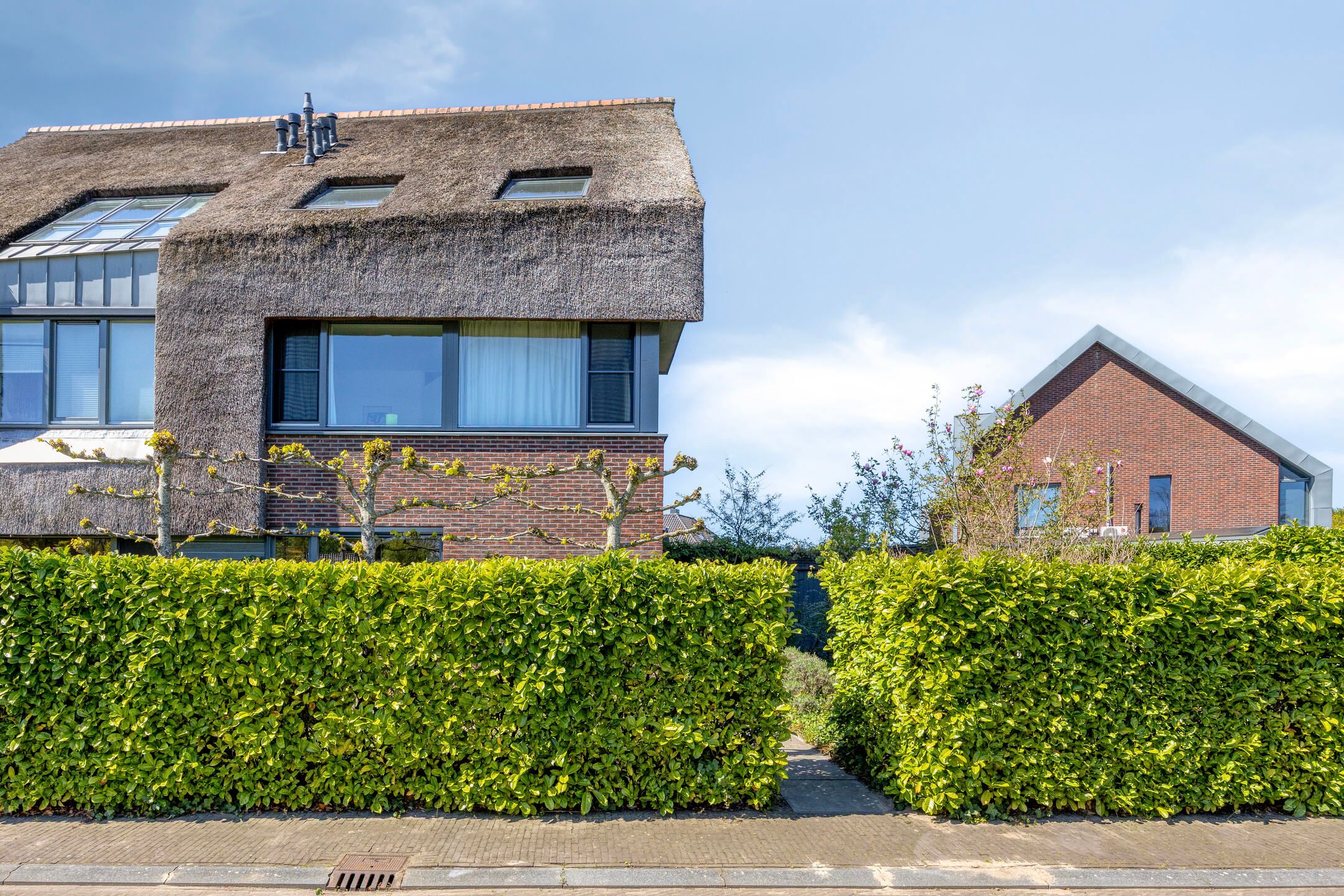 Foto 6 van Ridderinkhof 19