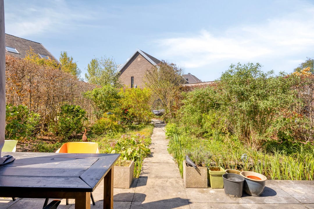 Foto 17 van Ridderinkhof 19