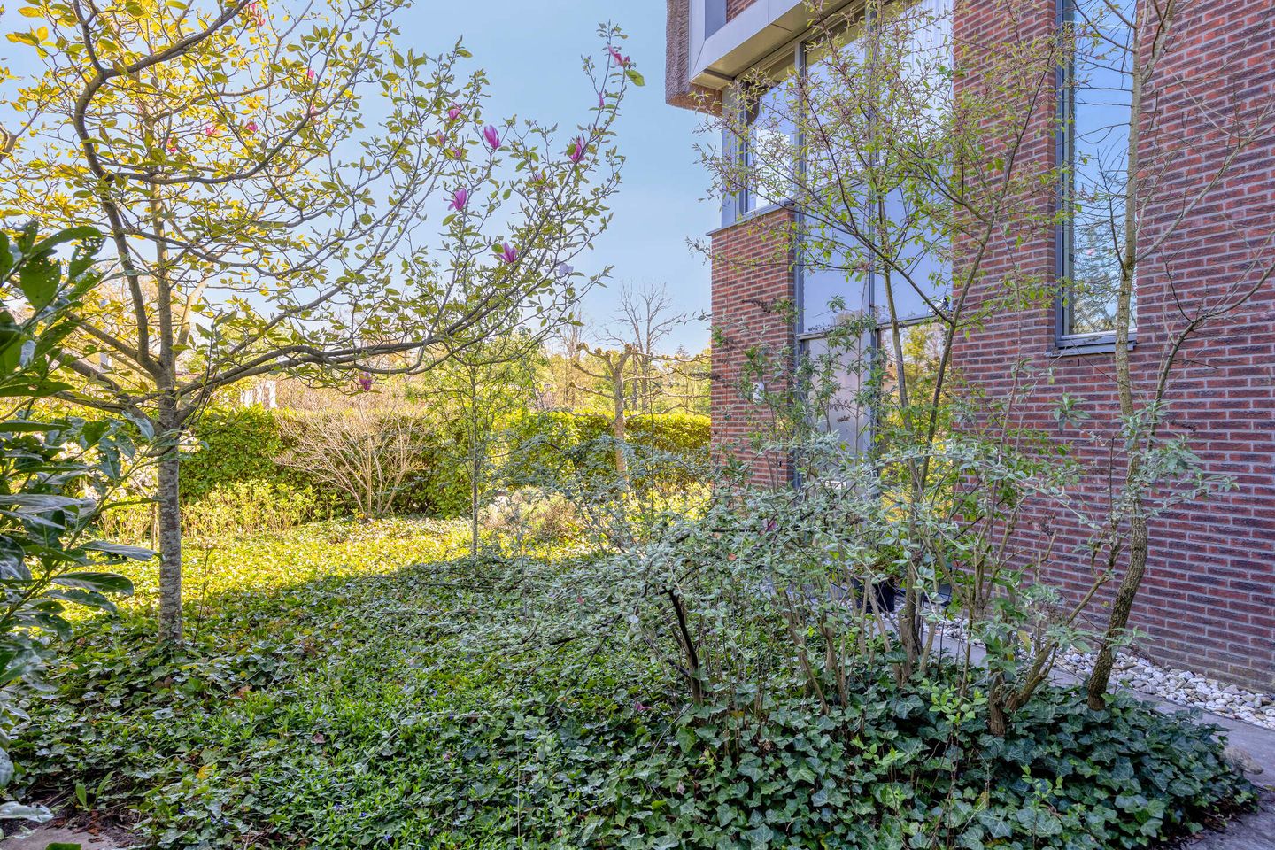 Foto 40 van Ridderinkhof 19