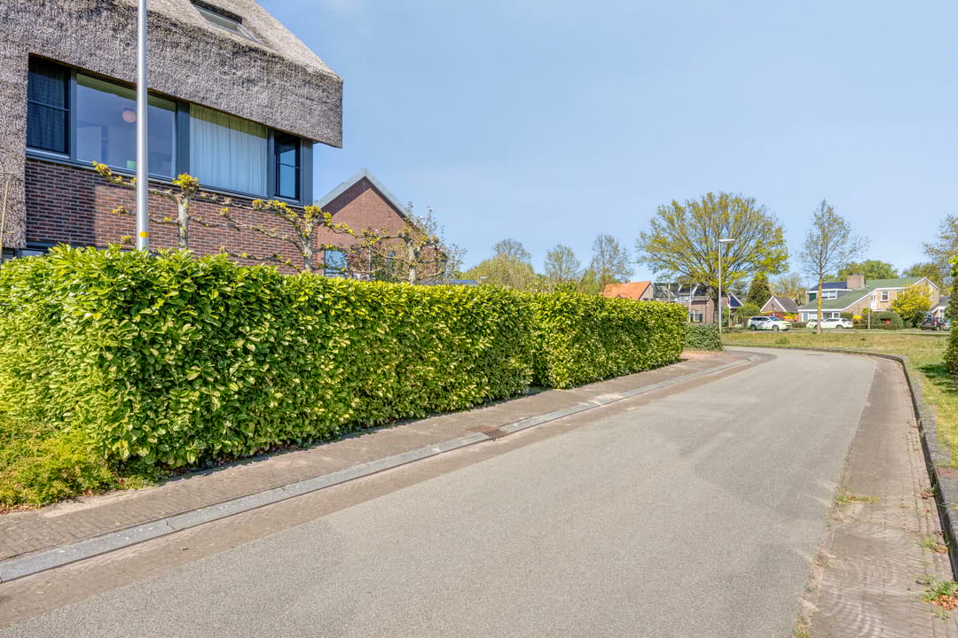 Foto 47 van Ridderinkhof 19