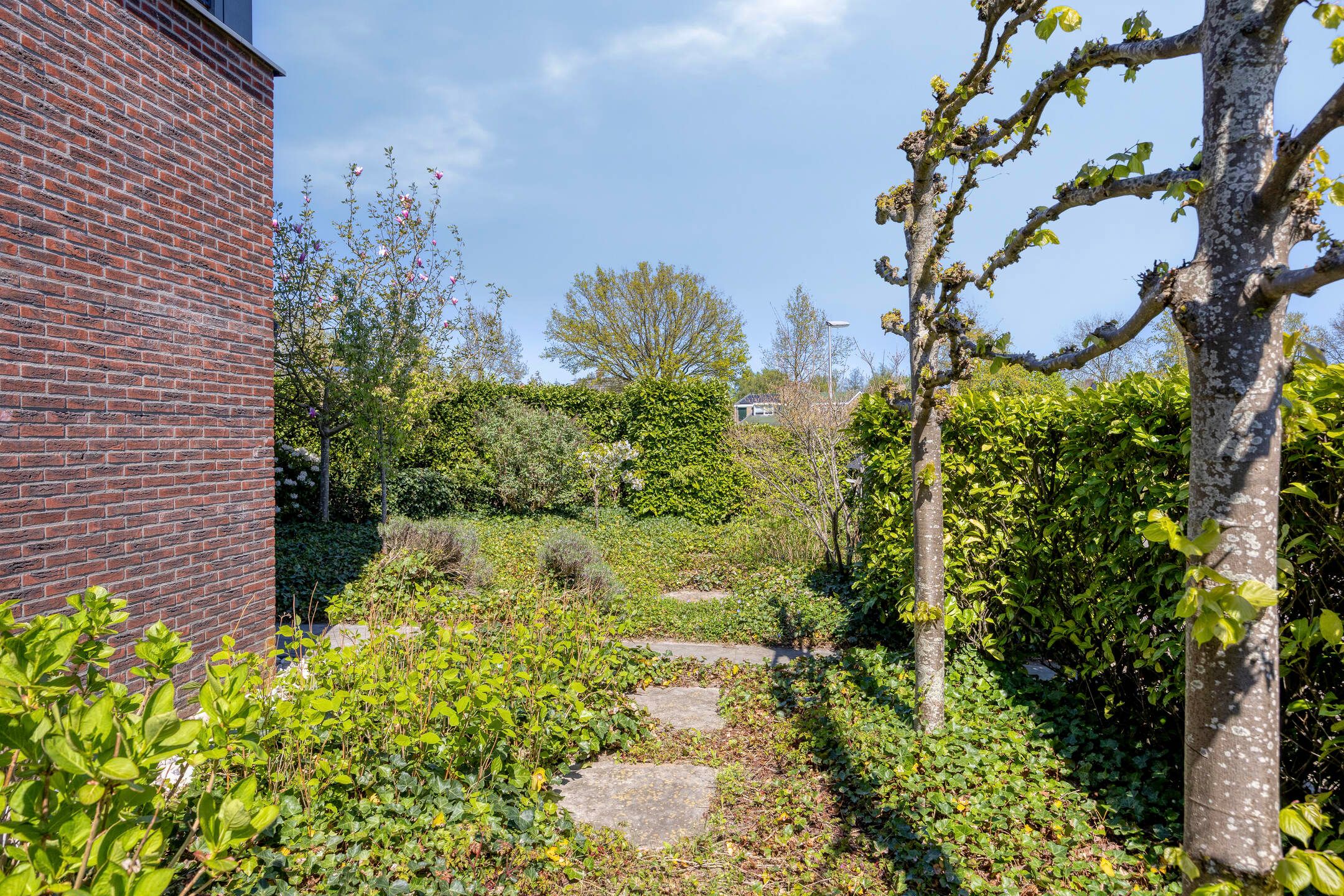 Foto 45 van Ridderinkhof 19