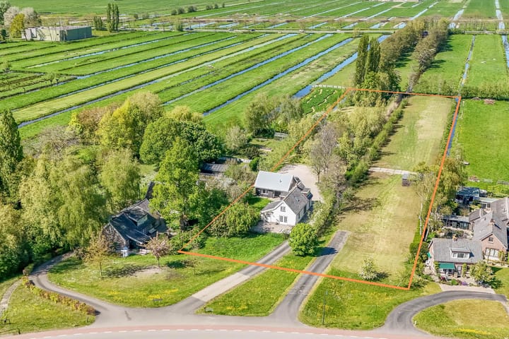 Hogedijk 100 main image