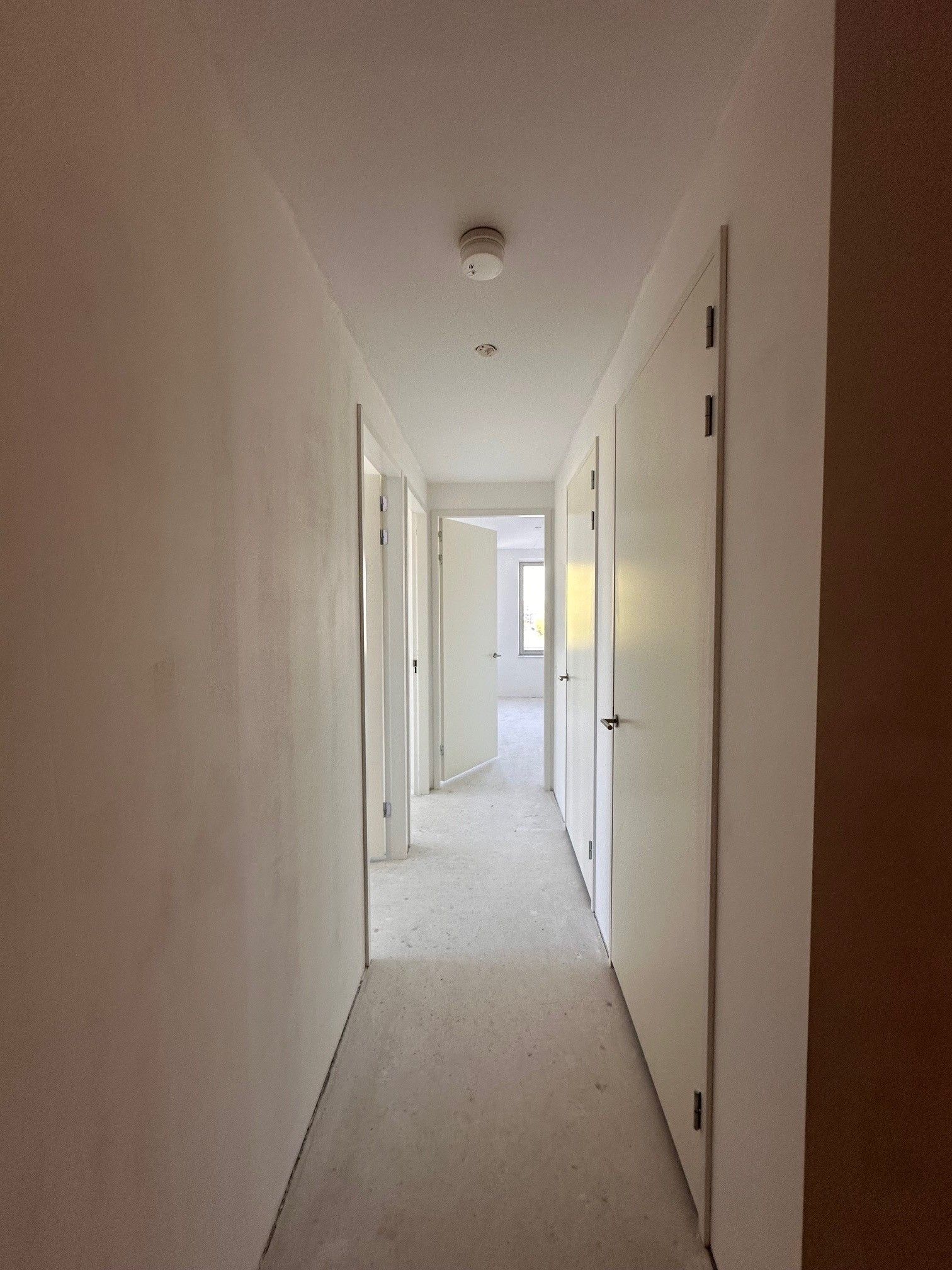 Foto 3 van Grasweg 3-E6