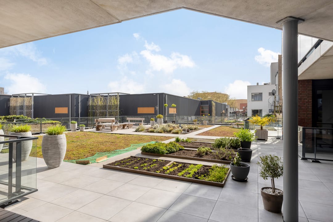 Photo 31 of Scheldekade 58-D